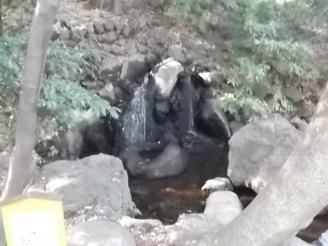 遅の井の滝